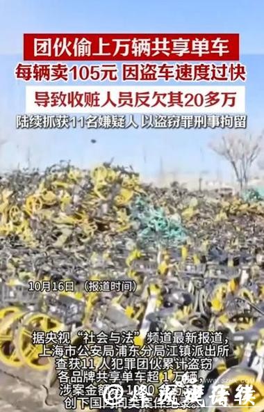 眼红工友高档自行车，男子“一锅端”偷走三辆，藏赃荒郊仍被擒